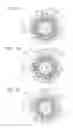 Fig. 03 - Magnetic wave gear device