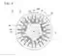 Fig. 06 - Magnetic wave gear device