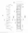 Fig. 03 - Wound stator and wires for the same