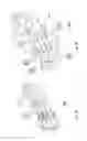 Fig. 14 - ELECTRIC MOTOR, GENERATOR AND COMMUTATOR SYSTEM, DEVICE AND METHOD
