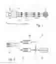 Fig. 02 - Inverter and operating method for an inverter
