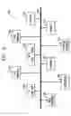 Fig. 07 - Switchless multiband filter architecture