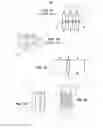 Fig. 02 - Planar structure of a mechanical resonator decoupled by bending oscillation and expansion/compression vibrations