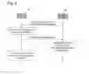 Fig. 06 - Signaling and Procedure for In-Device Co-Existence