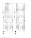Fig. 10 - Cable for transmitting signal