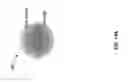 Fig. 33 - Integrated transceiver with lightpipe coupler