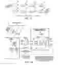 Fig. 16 - Reordering PCP flows as they are assigned to virtual channels