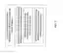 Fig. 09 - Phase reference symbol format for OFDM phase synchronization