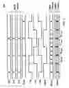 Fig. 03 - 4-level pulse amplitude modulation transmitter architectures utilizing quadrature clock phases