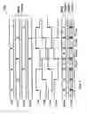 Fig. 08 - 4-level pulse amplitude modulation transmitter architectures utilizing quadrature clock phases