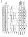 Fig. 10 - 4-level pulse amplitude modulation transmitter architectures utilizing quadrature clock phases