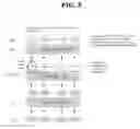 Fig. 09 - Method for detecting security error in mobile telecommunications system and device of mobile telecommunications