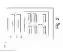 Fig. 03 - Website compatibility shims