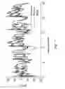 Fig. 08 - Variable step size echo cancellation with accounting for instantaneous interference
