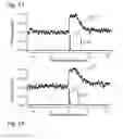 Fig. 15 - Event correlation using data having different time resolutions