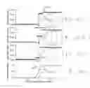 Fig. 17 - Event correlation using data having different time resolutions