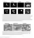 Fig. 59 - Systems and methods for sample use maximization