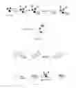 Fig. 67 - Systems and methods for sample use maximization