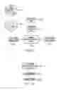 Fig. 12 - METHOD AND APPARATUS FOR PROVIDING VIRTURAL PROCESSING EFFECTS FOR WIDE-ANGLE VIDEO IMAGES