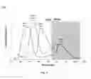 Fig. 05 - Multispectral Detection and Processing From a Moving Platform