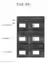 Fig. 24 - Solid-state image taking device with uniform noise distribution