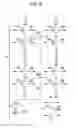 Fig. 06 - Solid-state imaging device and electronic apparatus