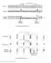Fig. 02 - Coding and decoding methods of a picture block, corresponding devices and data stream