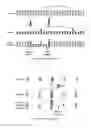 Fig. 03 - Coding and decoding methods of a picture block, corresponding devices and data stream
