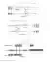 Fig. 08 - Coding and decoding methods of a picture block, corresponding devices and data stream