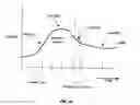 Fig. 16 - Interpolation of video compression frames