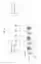 Fig. 05 - Method and apparatus for processing multiview video signal with part of non-reference view