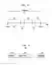 Fig. 03 - Apparatus and method for remote control of digital video recorders and the like