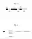 Fig. 04 - Imaging apparatus and method of providing video summary