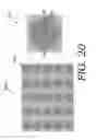 Fig. 26 - Electrostatic membrane pump/transducer and methods to make and use same