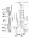 Fig. 03 - Digital capacity centric distributed antenna system