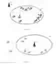 Fig. 03 - Collaborative spectrum sensing in cognitive radio network