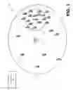 Fig. 02 - Efficient evaluation of hotspots for metrocell deployment