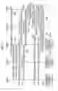 Fig. 09 - Mobile communication system, base station, user terminal and processor