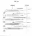 Fig. 17 - Base station apparatus, terminal apparatus, integrated circuit, and radio communication method