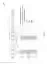 Fig. 05 - Cell discovery in a wireless network using an unlicensed radio frequency spectrum band