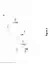 Fig. 02 - Pre-allocated random access identifiers
