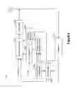 Fig. 03 - Pre-allocated random access identifiers