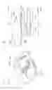Fig. 11 - Electronic device