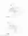 Fig. 08 - Agricultural square baler and use thereof