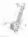 Fig. 02 - Backpack leaf blower