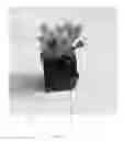 Fig. 08 - Hydroponic systems and methods for growing live produce