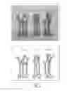 Fig. 02 - Dark stem cucumber plants