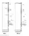 Fig. 09 - Door for a pet enclosure