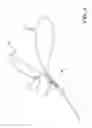 Fig. 05 - SAFETY DOG LEASH