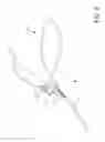 Fig. 07 - SAFETY DOG LEASH